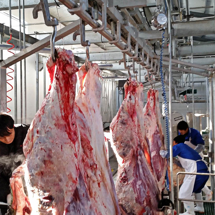 ZB abattoir เครื่องจักรผลิตวัวแกะวัวฆ่าอุปกรณ์วัวเปลี่ยนประเภทเครื่องฆ่า
