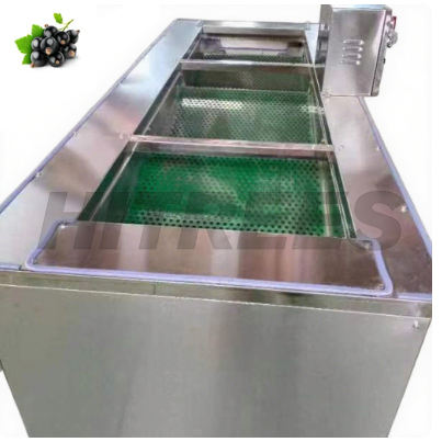 Máquina de clasificación de frutas de acero inoxidable de grado alimenticio para exportación