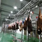 مجموعة كاملة من معدات الجزارة لذبح الماعز وخنازير الماشية وتبخر مع مكونات المحرك والمحمل الأساسية - خط ناقل ذبح الماشية والأغنام - foodmachtech