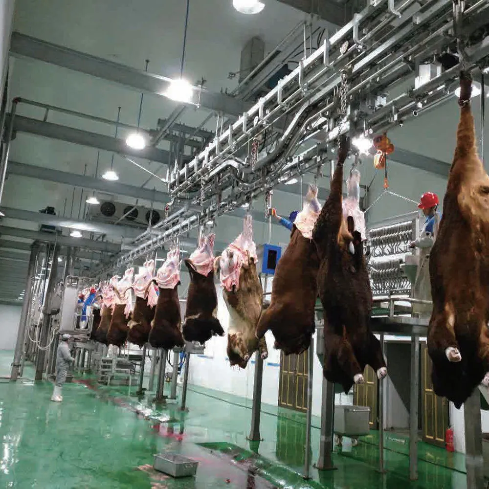 مجموعة كاملة من معدات الجزارة لذبح الماعز وخنازير الماشية وتبخر مع مكونات المحرك والمحمل الأساسية - خط ناقل ذبح الماشية والأغنام - foodmachtech