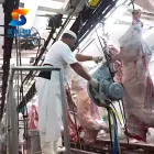 مسلخ الماشية الحلال التلقائي أو قتل أو ذبح الماشية خنزير الماعز آلة ذبح الأغنام - خط إنتاج ذبح الماشية والأغنام - foodmachtech