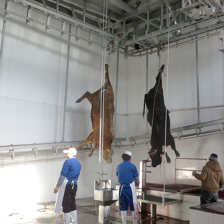 ZB ฮาลาลอัตโนมัติตุรกีวัวแกะหมูแพะฆ่าบ้านสายอุปกรณ์