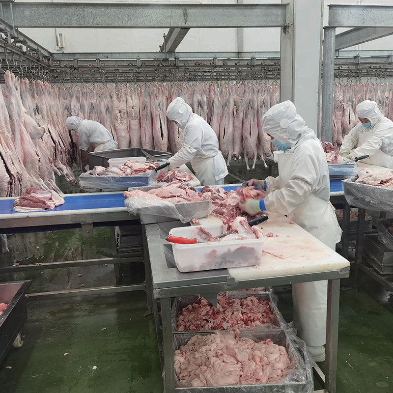 สมบูรณ์แกะฆ่าสายมอเตอร์และแบริ่งส่วนประกอบหลักเครื่อง butchery เนื้ออุปกรณ์สำหรับการผลิตเนื้อแกะ