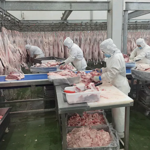Equipo completo de la máquina de la carnicería de la carne del motor y de la línea de la matanza de las ovejas