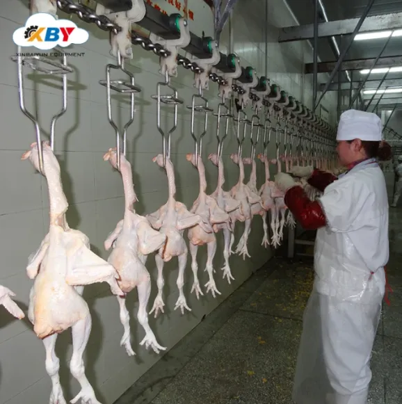 Dây chuyền giết mổ gà thiết bị giết mổ gia cầm dây chuyền chế biến thịt