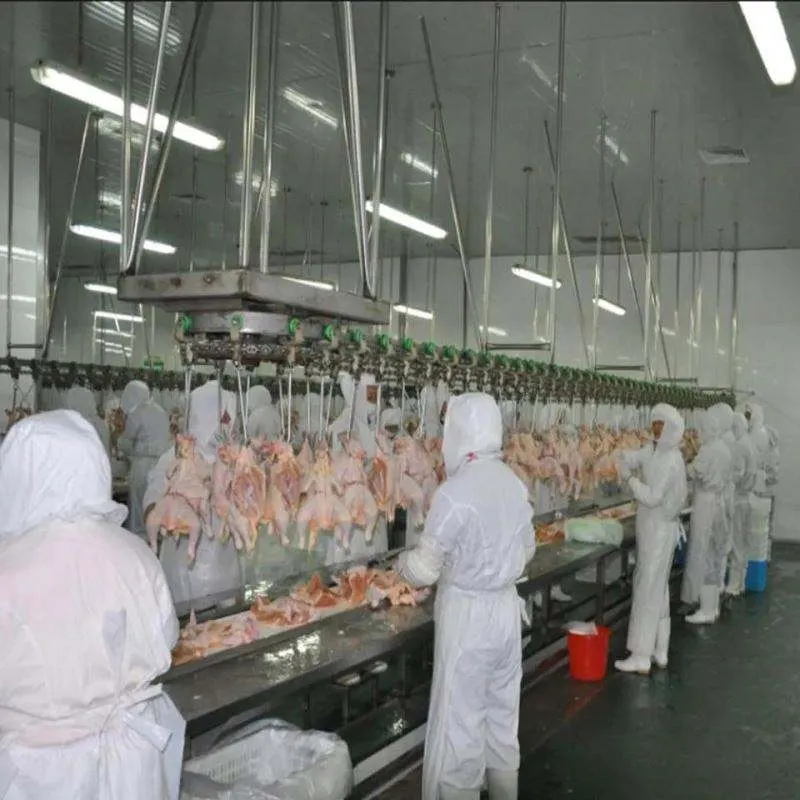 고속 산업 전문 설계된 가금류 농장 도축장 수동 배출 트로프 테이블 장비 - 가금류 부실 분류 스테이션 - foodmachtech