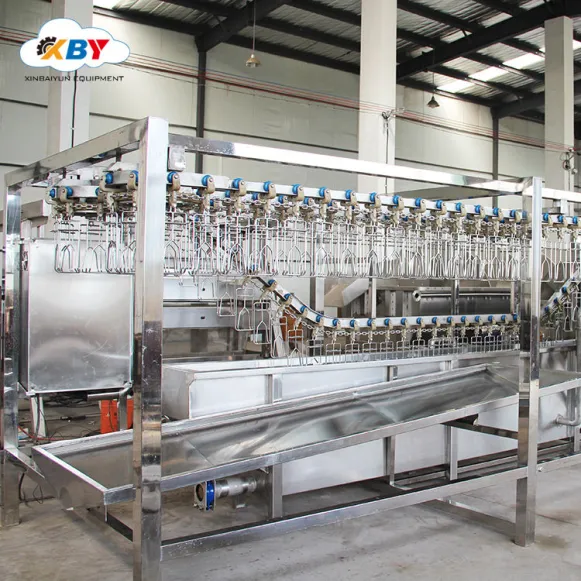 Xinbaiyun Máy nhổ gà tự động và máy làm sạch gà thiết bị giết mổ gia cầm