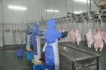 고속 산업 전문 설계된 가금류 농장 도축장 수동 배출 트로프 테이블 장비 - 가금류 부실 분류 스테이션 - foodmachtech