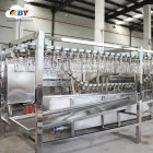 Xinbaiyun 300-3000BPH Máquina automática de desplumadora de pollo y máquina de limpieza de pollo Equipo de sacrificio de aves de corral - Línea de sacrificio de aves de corral - foodmachtech