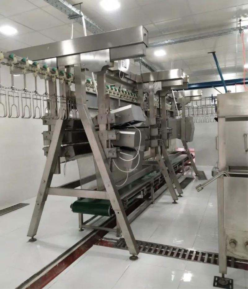 ใช้งานง่ายอัตโนมัติสัตว์ปีกไก่เป็ดฆ่าบ้านกำจัดขนนกไฟฟ้าถอนขนถอนขนอุปกรณ์เครื่องจักร