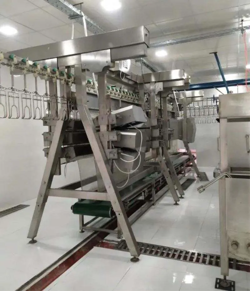 Operación simple automática de aves de corral pollo pato matanza casa pluma eliminación eléctrica plucker desplume equipo maquinaria - Máquina de desplumado de aves de corral - foodmachtech