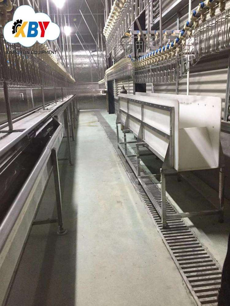 เครื่องถอนขนไก่สำหรับสายการผลิตอุปกรณ์ฆ่า