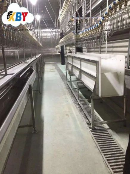 Máy nhổ lông gà cho dây chuyền sản xuất thiết bị Lò mổ