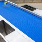 Vegetable & Fruit Processing Machinery Salad Vegetable Production Line Processing Machine Transmission Affordable - Weight Sorting Machine - foodmachtech