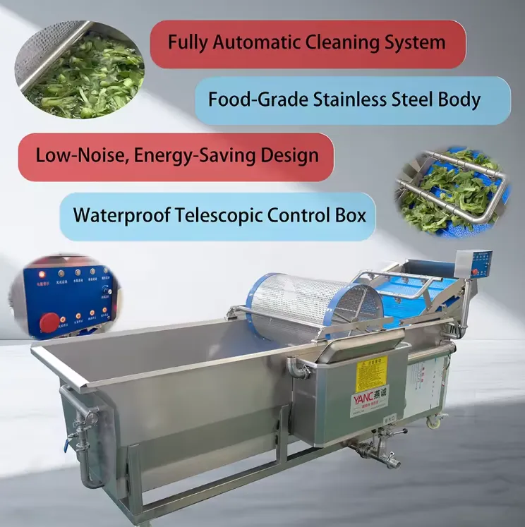 キャベツ洗浄機野菜洗浄機セロリほうれん草用 - クリーニングマシン - foodmachtech