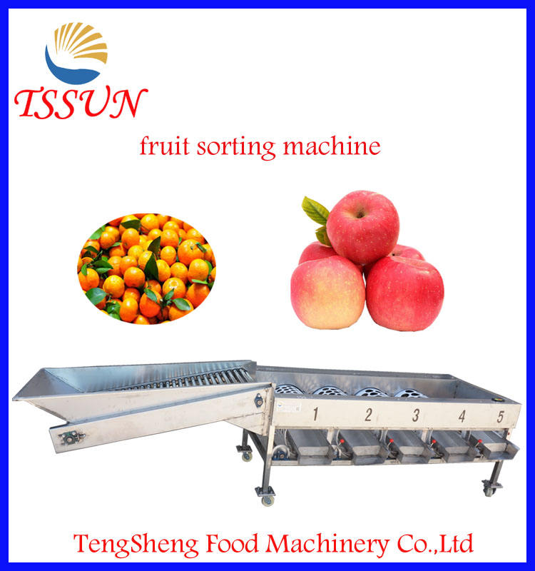 Clasificadora automática de la patata de la clasificadora de la fruta de Apple anaranjada industrial del mango