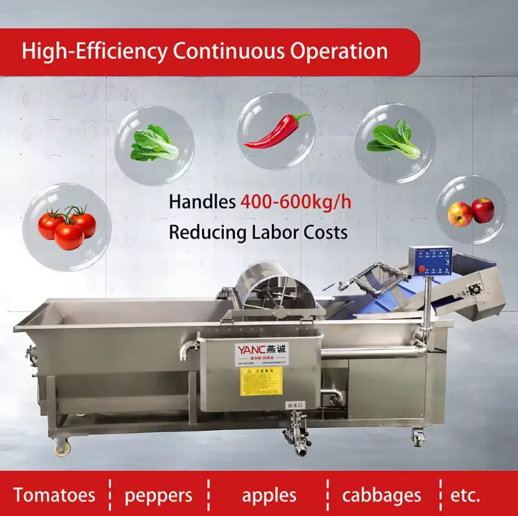 キャベツ洗浄機野菜洗浄機セロリほうれん草用 - クリーニングマシン - foodmachtech