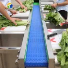 Vegetable & Fruit Processing Machinery Salad Vegetable Production Line Processing Machine Transmission Affordable - Weight Sorting Machine - foodmachtech