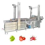 Máy rửa rau Máy làm sạch máy rửa trái cây máy rửa khoai tây - Máy lột vỏ - foodmachtech