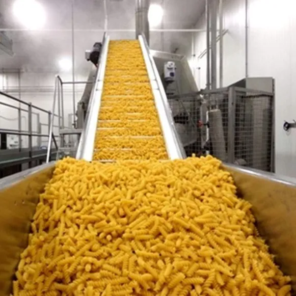Chinese Top Quality Spaghetti Macaroni Linha De Produção Para Venda
