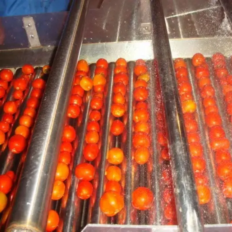 Manufacture Industrial Fruit Juice Production Line Price Orange Juice Production Line - Juicer - foodmachtech