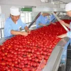 Manufacture Industrial Fruit Juice Production Line Price Orange Juice Production Line - Juicer - foodmachtech