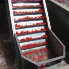 Fruit Juice Processing Machine Fruit Juice Production Line Price Orange Juice Production Line - Juicer - foodmachtech