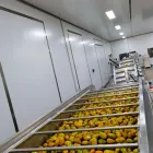Fruit Juice Processing Machine Fruit Juice Production Line Price Orange Juice Production Line - Juicer - foodmachtech