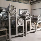 Macchina di spappolatura ad alta velocità automatica della frutta e della verdura della struttura ragionevole - Spremiagrumi - foodmachtech