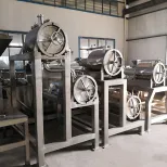 Reasonable Structure Automatic Fruit and Vegetable High Speed Pulping Machine - Juicer - foodmachtech
