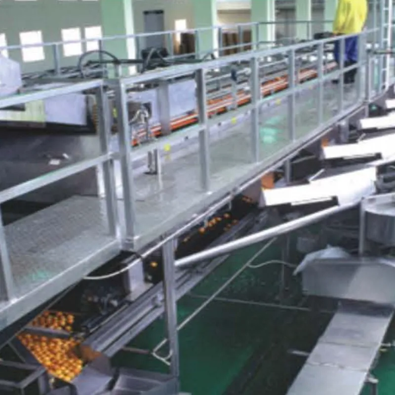Fruit Juice Processing Machine Fruit Juice Production Line Price Orange Juice Production Line - Juicer - foodmachtech