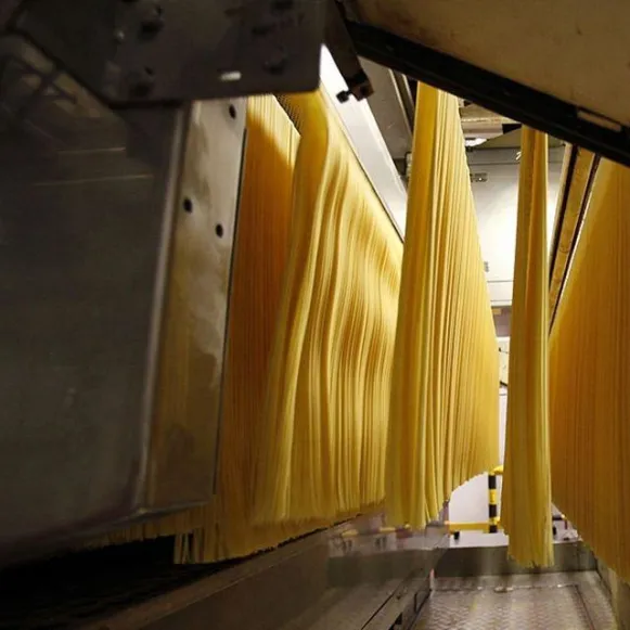 Macarrão De Espaguete De Alta Saída Fazendo Máquina