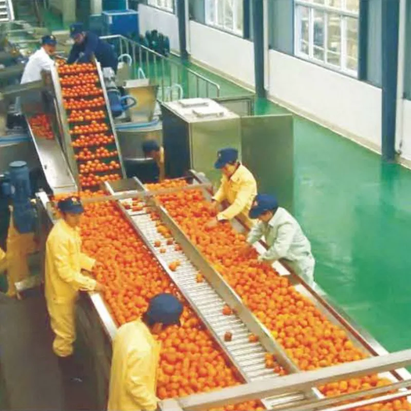 Factory Direct Manufacturer Orange Juicing Line Cleaning Sterilizing Juicing Full Turnkey Solution Juice Processing Line - Juicer - foodmachtech