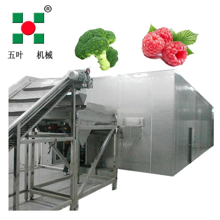 Tủ đông xoắn ốc đơn/đôi xoắn ốc/tủ đông nhanh iqf được sử dụng để đóng băng các sản phẩm thủy sản, thịt và mì ống và kem - Tủ đông iqf - foodmachtech