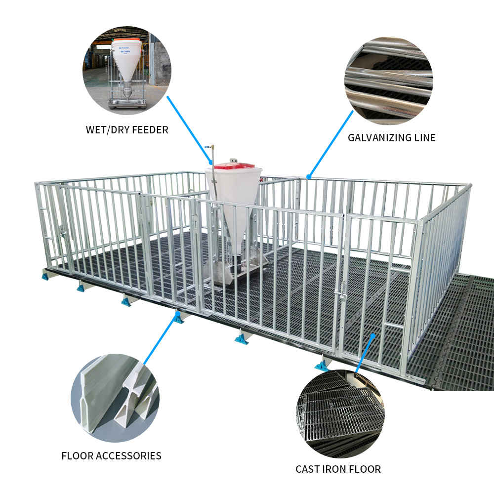 Las soluciones robustas de la cría de los cerdos limpian fácil la pluma duradera del engorde del cerdo de la nueva condición del