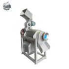 304 Stainless Steel Industrial Fruit Apple Watermelon Pineapple Juice Crusher Juicer Extractor Machine - Juicer - foodmachtech