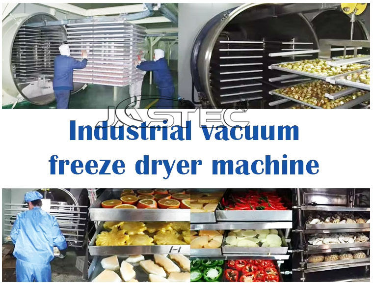 Moderna Máquina de Liofilização a Vácuo Inovadora para Nectarina Laranja Pêssego 10m2 150kg/batch Capacidade para Food Processing Farm PLC