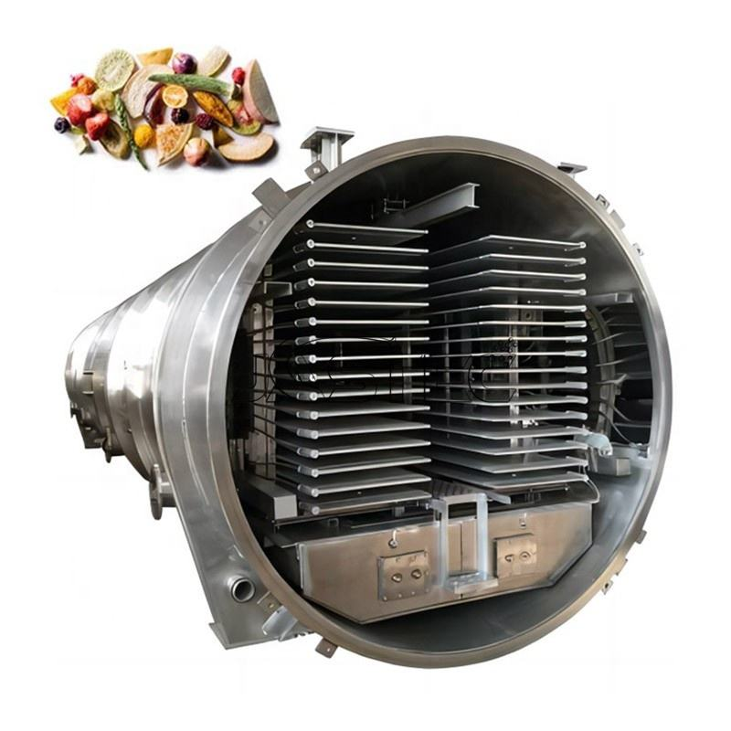 Máquina De Secagem Por Congelamento De Frutas Fábrica Uso Caters Morangos Bagas Azuis Liofilizador Equipamento De Secagem A Vácuo