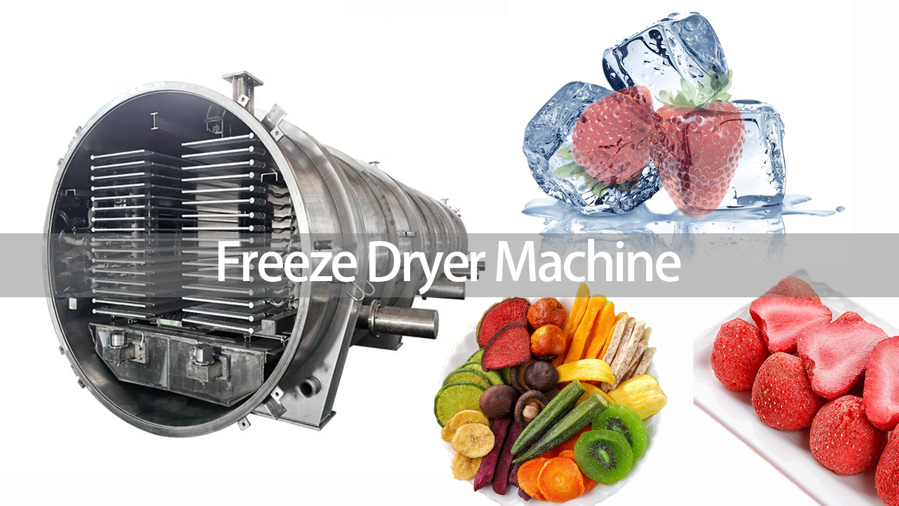 Preço competitivo vapor aquecimento elétrico congelar secador vácuo congelamento equipamentos para fábrica de frutas cereja coco