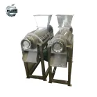 Cold Press Squeezer Machine Apple Pear Cold Press Juicer Extractor Machine - Juicer - foodmachtech