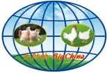 Dacianna (Cangzhou) Agricultural Equipment Co., Ltd.