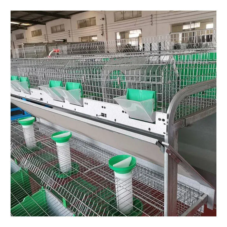 Jaula de cría de conejos comercial con sistema de recogida de estiercol - Jaula de conejo - foodmachtech