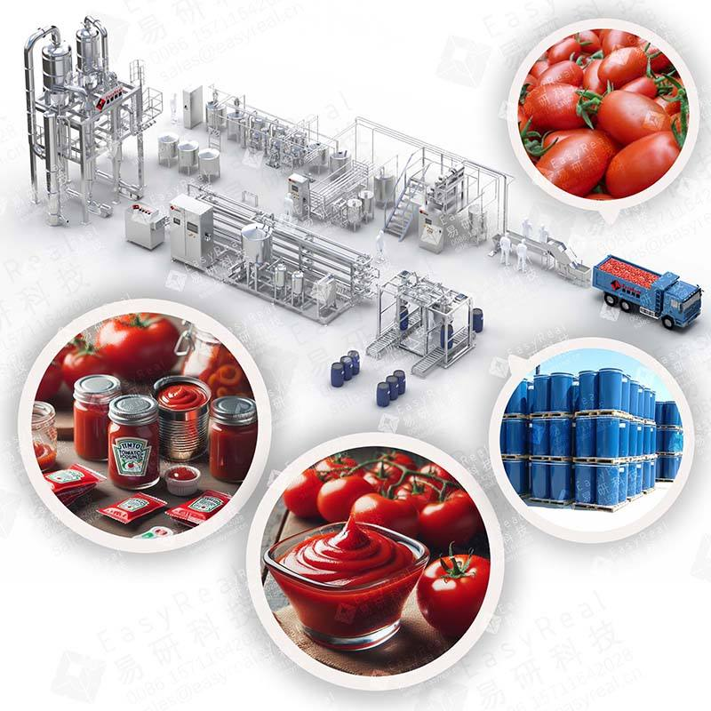 Customized Tomato Paste Processing Machine Price