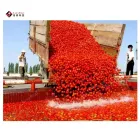 Línea de producción de salsa de tomate que hace la planta de producción de máquina Pasta de tomate semiautomática automática del proyecto completo - Línea de producción de pasta de tomate - foodmachtech