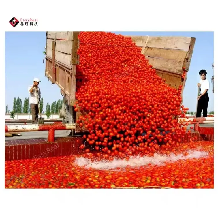 Línea de producción de salsa de tomate que hace la planta de producción de máquina Pasta de tomate semiautomática automática del proyecto completo - Línea de producción de pasta de tomate - foodmachtech