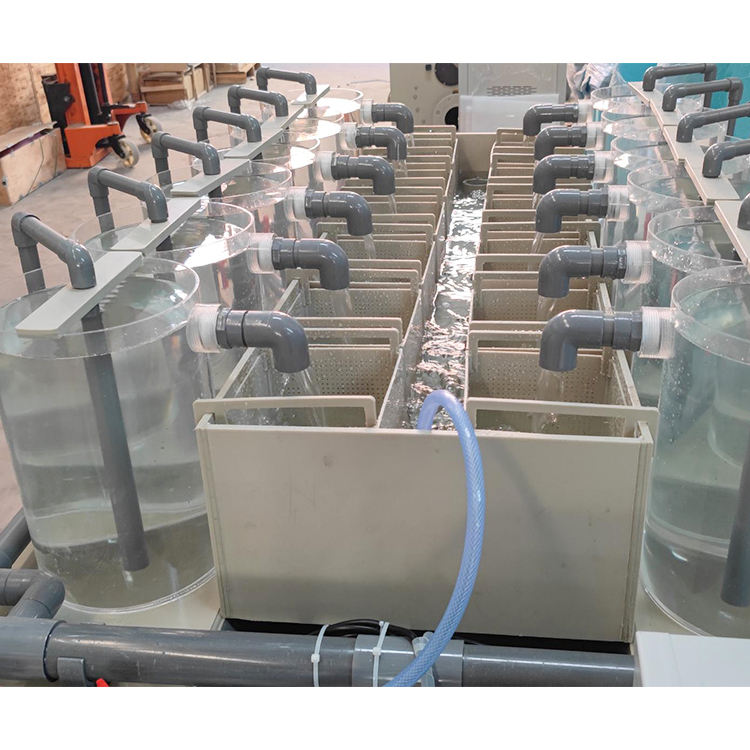 ตู้ฟักไข่ปลา/ตู้ฟักไข่ปลา/ALL IN ONE RAS