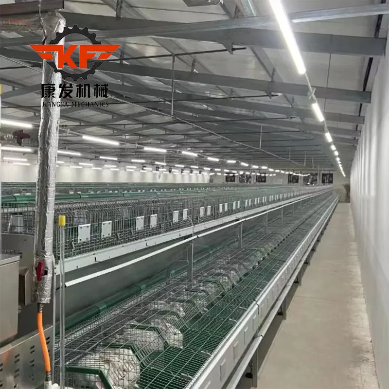 Chuồng nuôi thỏ thương mại có chức năng vệ sinh phân bón tự động - Lồng thỏ - foodmachtech