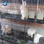 China hizo la jaula del conejo 9 12 18 24 48 puertas Venta caliente alambre más grueso - Jaula de conejo - foodmachtech
