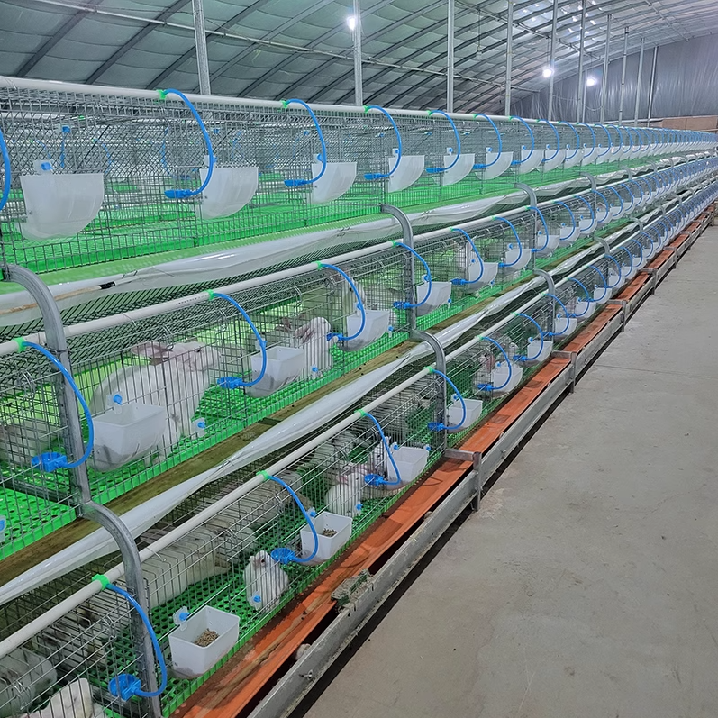 กรงกระต่ายอุตสาหกรรม10000สำหรับขายในยูกันดาเกจลวดกรงกระต่าย