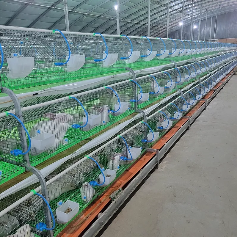 Industrial 10000 jaula de conejo para la venta en Uganda - Jaula de conejo - foodmachtech